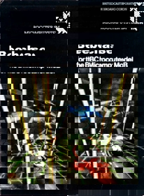 Beebchase - Fanart - Box - Front (World) - 1111x1515