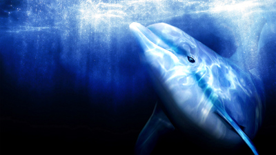 Ecco the Dolphin - Fanart - Background (World) - 1600x900