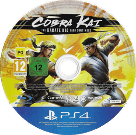 Cobra Kai: The Karate Kid Saga Continues - Disc (World) - 767x765