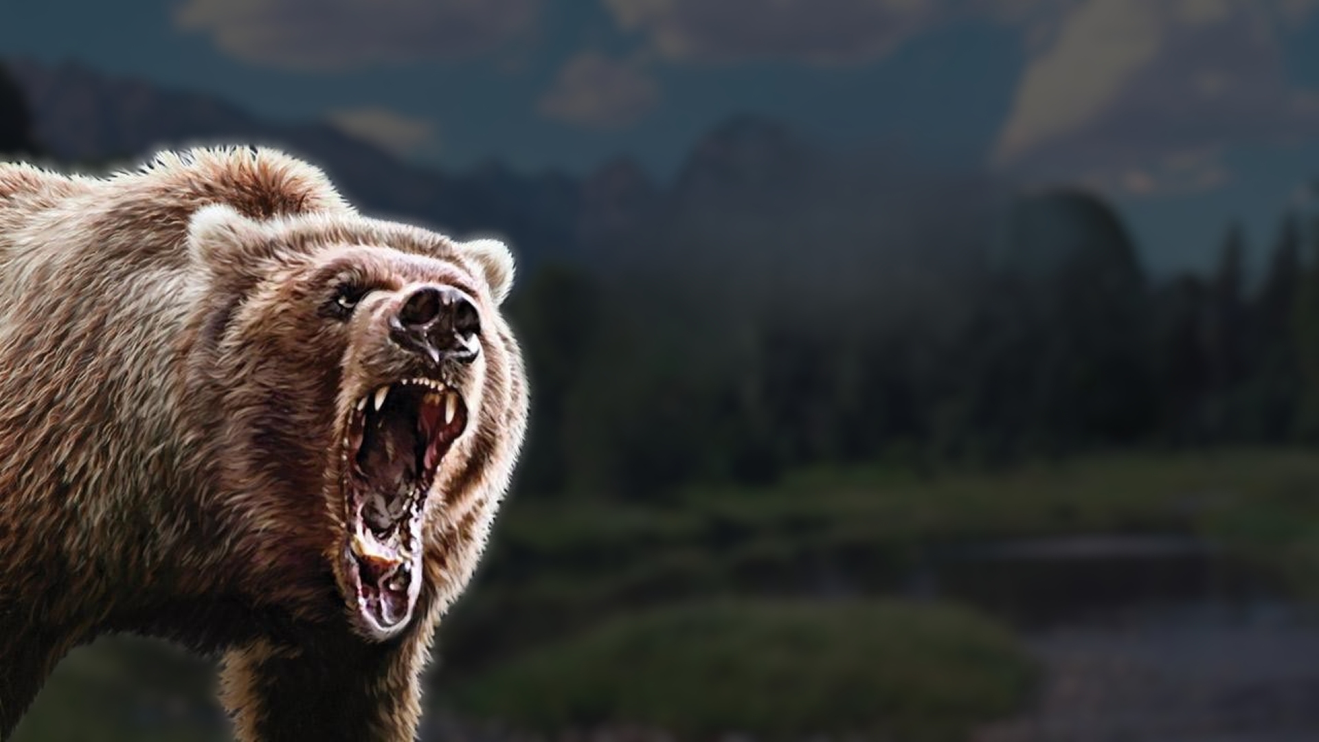 Illustration of Cabela's Big Game Hunter 2010