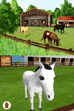 Illustration of Discovery Kids: Pony Paradise
