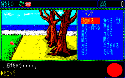 Shin Tamatori Monogatari - Screenshot - Gameplay (Japan) - 640x400