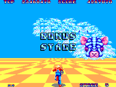 Space Harrier - Screenshot - Gameplay (World) - 512x384