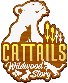 Cattails: Wildwood Story - Clear Logo (World) - 1318x1614