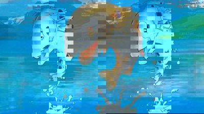 Virtual Fishing - Fanart - Background (World) - 1920x1080