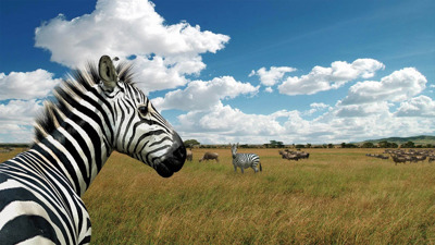 Afrika - Fanart - Background (World) - 1920x1080
