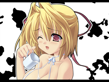 Illustration of Orange Pocket: Cornet