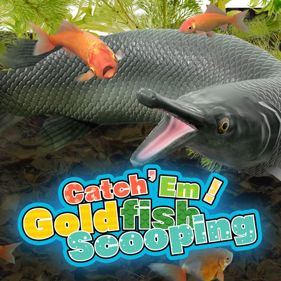 Catch 'Em! Goldfish Scooping - Square (World) - 800x800