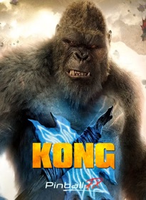 Kong Pinball - Fanart - Box - Front (World) - 788x1080