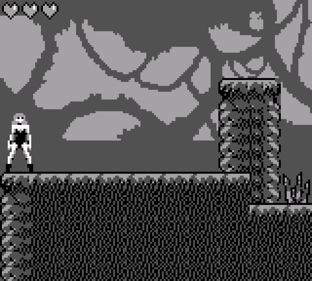 Jane in the Jungle - Screenshot - Gameplay (World) - 2400x2160