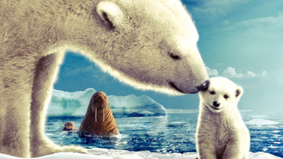 Arctic Tale - Fanart - Background (World) - 1538x865