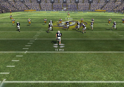 NCAA Football 11 - Screenshot - Gameplay (North America) - 640x448