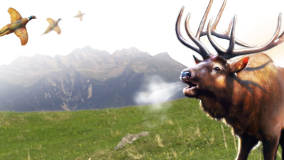 Field & Stream: Total Outdoorsman Challenge - Fanart - Background (World) - 1920x1080