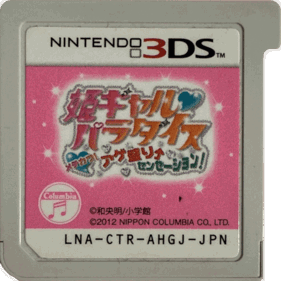 Hime Girl Paradise: Mechikawa! Agemori Sensation! - Cart - Front (Japan) - 919x919