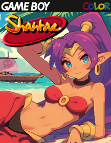 Shantae - Poster (North America) - 500x646
