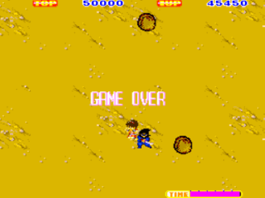 Sega Ninja - Screenshot - Game Over (World) - 640x480