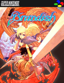 Brandish - Fanart - Box - Front (North America) - 500x646