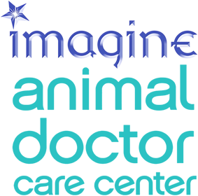 Imagine: Animal Doctor Care Center - Clear Logo (North America) - 800x792