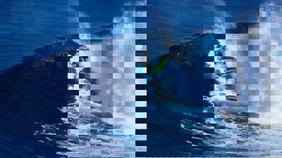 Illustration of Championship Surfer