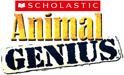 Animal Genius - Clear Logo (World) - 1200x727