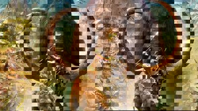 Far Cry Primal - Fanart - Background (World) - 1920x1080