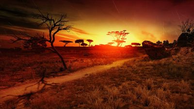 Cabela's Dangerous Hunts 2011 - Fanart - Background (World) - 1920x1080