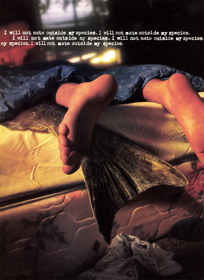 Seaman - Advertisement Flyer - Front (United States) - 1604x2200