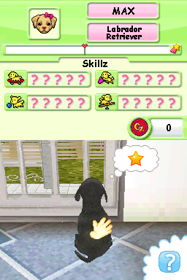 Illustration of Petz: Dogz Talent Show