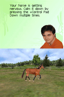 Illustration of My Horse & Me