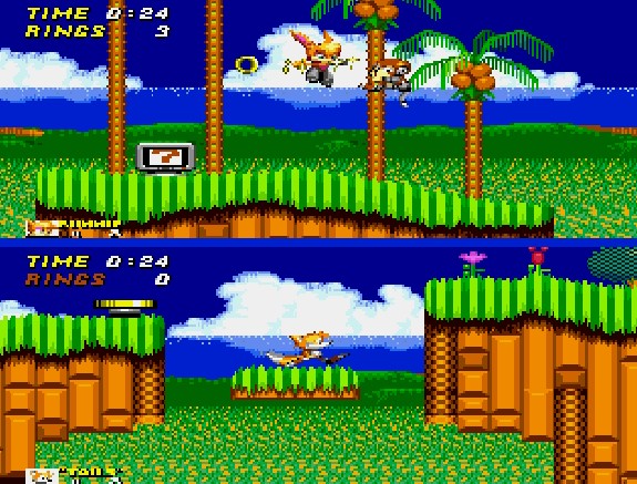 Illustration of Bunnie Rabbot in Sonic the Hedgehog 2 