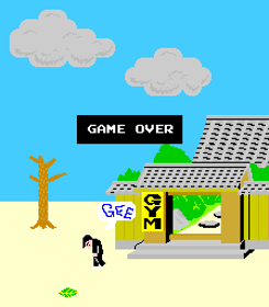 Karate Champ - Screenshot - Game Over (World) - 224x256