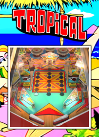 Tropical - Box - Front (World) - 480x662
