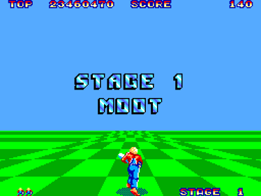 Space Harrier - Screenshot - Gameplay (World) - 512x384