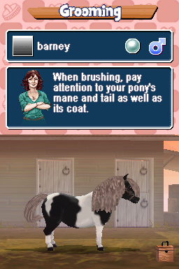 Illustration of Pony Friends: Mini Breeds Edition