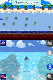 Illustration of Discovery Kids: Dolphin Discovery