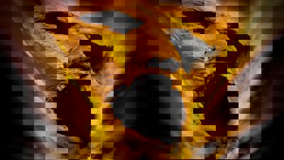 The Mummy - Fanart - Background (World) - 1920x1080