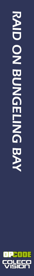 Raid on Bungeling Bay - Box - Spine (World) - 113x916