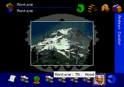 The San Diego Zoo Presents... The Animals! A True Multimedia Experience - Screenshot - Gameplay (World) - 640x448