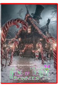 The House of the Dead Bunnies - Box - Front (World) - 533x800