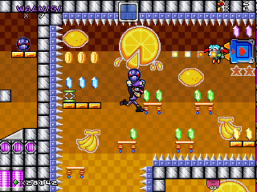 Mushroom Kingdom Fusion - Screenshot - Gameplay (World) - 320x240