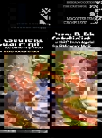 Custard Pie Fight - Fanart - Box - Front (World) - 882x1200