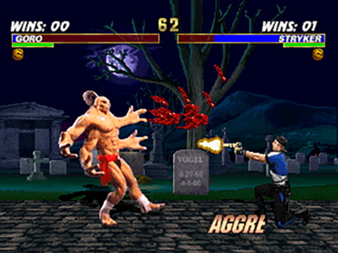 Mortal Kombat Trilogy - Screenshot - Gameplay (World) - 640x480