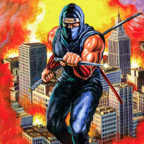 Ninja Gaiden - Icon (North America) - 256x256