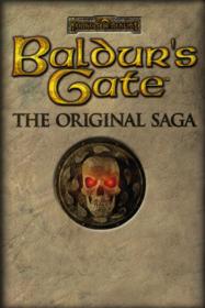 Baldur's Gate: The Original Saga - Poster (World) - 600x900