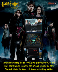 Harry Potter and the Goblet of Fire - Advertisement Flyer - Front (World) - 2400x3000