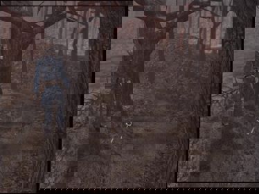Blair Witch Volume II: The Legend of Coffin Rock - Screenshot - Gameplay (North America) - 640x480