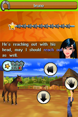 Illustration of Petz: Horsez Family