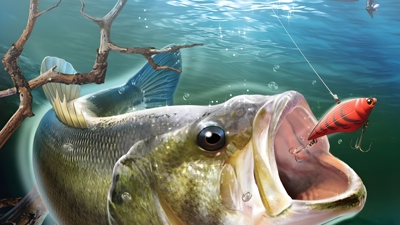 Illustration of Bass Pro Shops: The Strike 