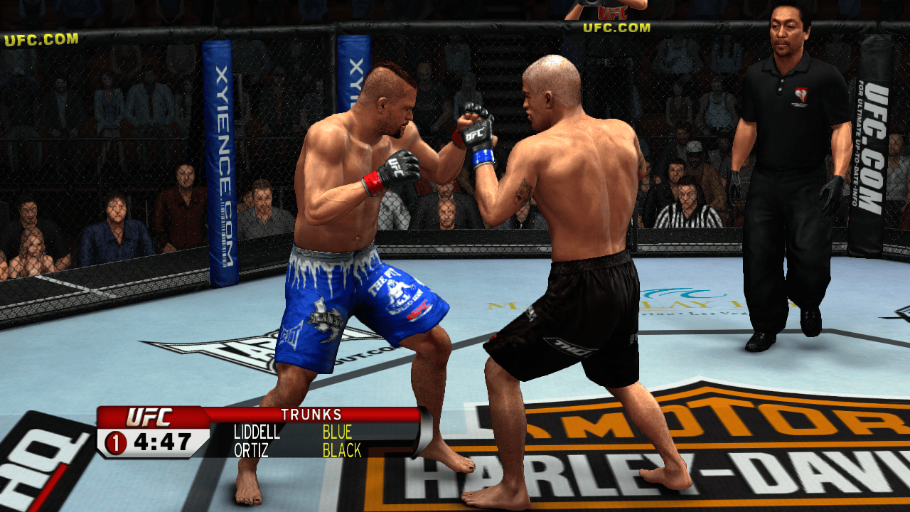 Illustration of UFC 2009 Undisputed