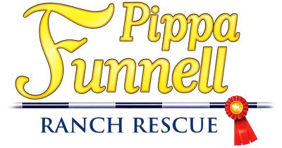 Petz: Horsez 2 - Clear Logo (Europe) - 4500x2375